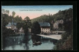 AK Mittweida, Blick Auf Die Lauenhainer Mühle - Mittweida