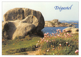 22-TREGASTEL-N°3344-B/0233 - Trégastel