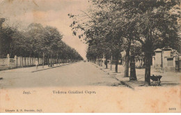ROUMANIE #FG62028 JASI VEDEREA GRADINEI COPOU - Romania