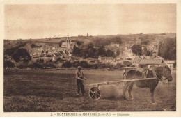 77 DONNEMARIE EN MONTOIS #MK48270 PANORAMA AGRICULTURE ATTELAGE - Donnemarie Dontilly