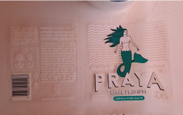 BRAZIL CRAFT BEER LABEL/BEAUTIFUL LABEL PRETTY WOMAN 01 - Bière