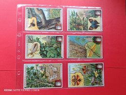 Liebig Serie Complete Langue Belge S 1065 Mimétisme Chez Les Insectes - Liebig