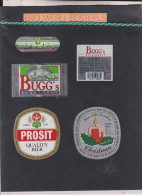 Lot Etiketten Brouwerij Brasserie Bosteels, Buggenhout - Bière