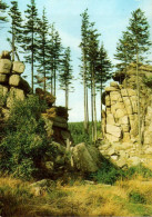 C1403 - TOP Wernigerode Motivkarte - Bild Und Heimat Reichenbach - Wernigerode