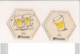 LOT / SERIE De 7 " SOUS BOCK " Bière Blanche HOEGAARDEN SIGNE DU ZODIAQUE ( Signes Astrologiques )( Recto Verso ) - Sous-bocks