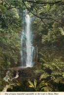 CPM Hawaii One Of Many Beautiful Waterfalls On The Road To Hana Maui - Maui
