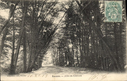 CPA Ecouen Allee Du Chateau - Ecouen
