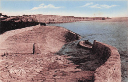17 CHATELAILLON PLAGE FALAISE DES BOUCHOLEURS - Châtelaillon-Plage