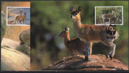 Swaziland Animaux En Voie De Disparition -Endangered Animals 2001  4 Postcards - Swaziland (1968-...)