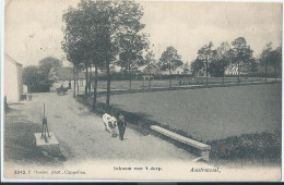Oosterweel - Austruweel - Austerweel - ( Antwerpen - Anvers ) - Inkom Van 't Dorp - 1906 - Antwerpen