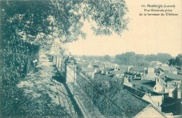 MONTARGIS . Vue Générale Prise De La Terrasse Du Château . - Montargis
