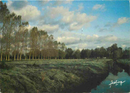 62 - Pas De Calais - Cote D'Opale - CPM - Voir Scans Recto-Verso - Autres & Non Classés