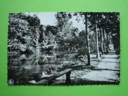 LINKEBEEK - Lac Du Moulin Rose - Linkebeek