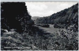 50813629 - Arnsberg , Westf - Arnsberg