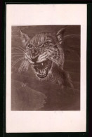 AK Tiger Mit Drohend Aufgerissenem Maul - Tigri