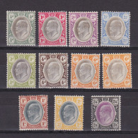 TRANSVAAL SOUTH AFRICA 1904, SG# 260-269, CV £236, Short Set, MH - Transvaal (1870-1909)