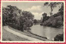 C.P. Woluwe-Saint-Pierre =   Vue  Sur  Le Parc - Woluwe-St-Pierre - St-Pieters-Woluwe