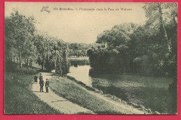C.P. Woluwe-Saint-Pierre =  Promenade  Dans  Le Parc - Woluwe-St-Pierre - St-Pieters-Woluwe