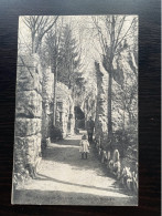 (220) GROTTES DE CONJOUX - CHEMIN DU ROSAIRE - Ciney
