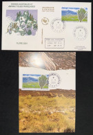 TAAF - FDC - Premier Jour - Carte Maximum - YT N° 293 - Flore De Kerguelen - 2001 - FDC