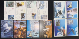 TAAF - FDC - Premier Jour - Carte Maximum - YT N° 298 à 301 - Collection Jeunesse - 2001 - FDC