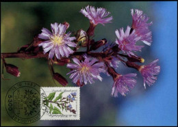 Bundespost - MK -  Gefärhdete Alpenblumen - Andere & Zonder Classificatie