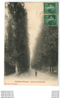 VERRIERES LE BUISSON Avenue Cambacérès - Verrieres Le Buisson