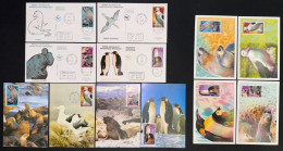 TAAF - FDC - Premier Jour - Carte Maximum - YT N° 344 à 347 - Faune Australe - Jeunes Et Adultes - 2002 - FDC