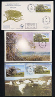 TAAF - FDC - Premier Jour - Carte Maximum - YT N° 363 - Flore D'Amsterdam - Phylica - 2003 - FDC