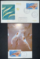 TAAF - FDC - Premier Jour - Carte Maximum - YT N° 386 - Petit Crevettes - Krill - 2004 - FDC