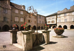 CPM Sauveterre De Rouergue Aveyron Place Des Arcades - Sonstige & Ohne Zuordnung