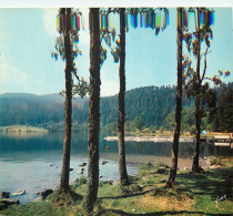 CPM Le Lac De Longemer (Vosges) Couleurs Et Lumiere De La France - Xonrupt Longemer