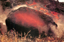 CPM An Accretionary Lava Ball - Maui