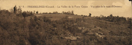 CPA Fresselines La Vallee De La Petite Creuse - Felletin