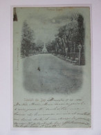 Romania-Iași:Le Jardin De Copou Carte Postale Voyage 1899/ The Copou Garden Mailed Postcard Rare Postmark 1899 - Romania