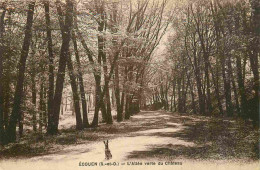 95 - Ecouen - L'Allée Verte Du Château - CPA - Oblitération De 1937 - Voir Scans Recto-Verso - Ecouen