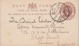 Cap De Bonne Espérance Entier Postal Pour L'Angleterre 1903 - Capo Di Buona Speranza (1853-1904)