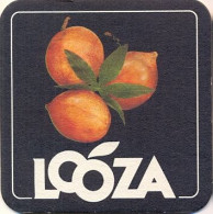 D44-096 Viltje Looza - Sous-bocks