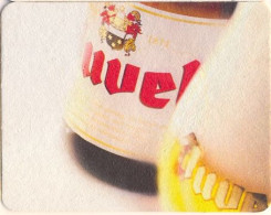 D44-055 Viltje Duvel - Sous-bocks