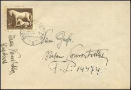 Mi899 Auf Cover - Cartas & Documentos