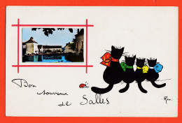 28491 / Rare SALLES-COURBATIES 12-Aveyron Bon Souvenir Ajouti Photo CHAUSSEE  Illustrateur RENE Série CHATS  1960s - Sonstige & Ohne Zuordnung