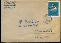 Cover To Marcinelle, Belgium - Covers & Documents