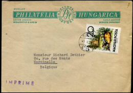 Cover To Marcinelle, Belgium - Covers & Documents