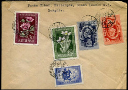 Cover To Knokke, Belgium - Covers & Documents