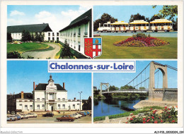 ALYP10-0968-49 - CHALONNES-SUR-LOIRE - Divers Aspects - Chalonnes Sur Loire