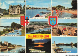 ALYP10-0979-49 - CHALONNES-SUR-LOIRE - Divers Paysages - Chalonnes Sur Loire