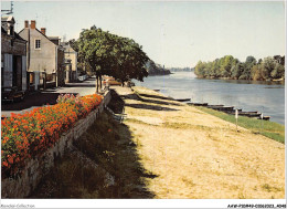 AAWP10-49-0810 - CHALONNES SUR LOIRE - Les Quais De La Loire - Chalonnes Sur Loire