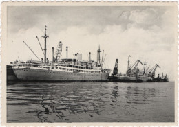 Zeebrugge - M/V Elisabethville Et Mar Del Plata Le Long Du Môle - & Boat - Other & Unclassified
