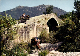 CPSM La Corse Pont Genois Du Aux Environs De Sartene - Sartene