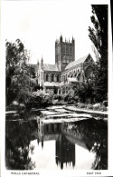 CPA Wells Cathedral East End - Wells